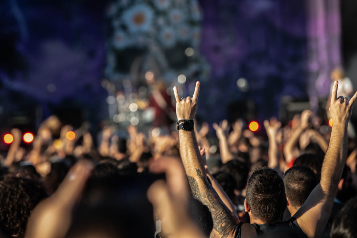 Photo of the crowd at The Dead Daisies' Show